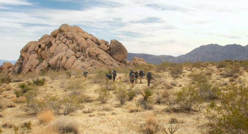 a group of people wearing backpacks hike through Joshua Tree National Park